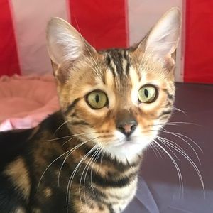 Meet your Posher, Estela